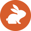 CodeRabbit logo 1