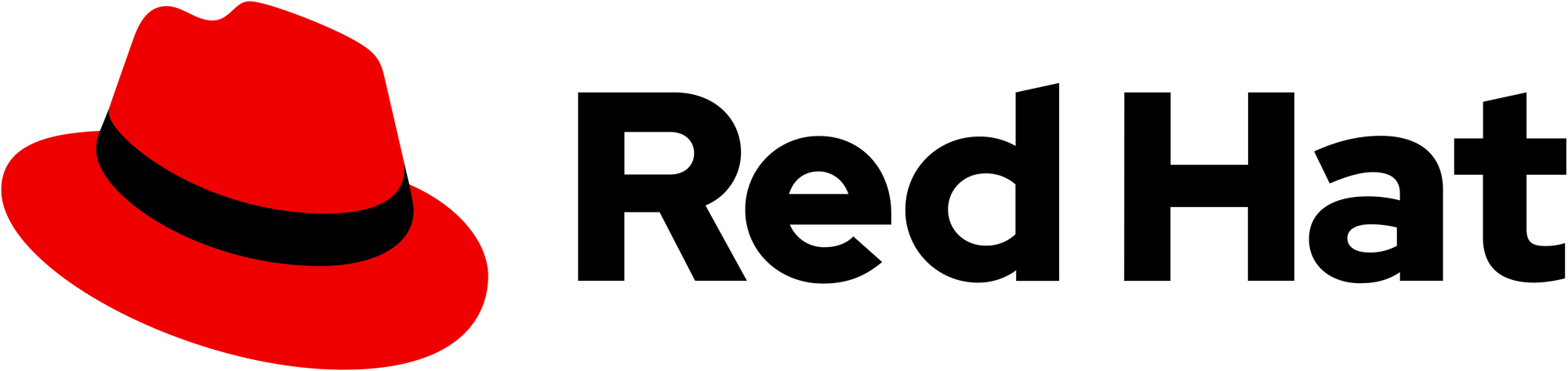 Logo-Red_Hat-A-Standard-RGB.Large-logo-transparent-background